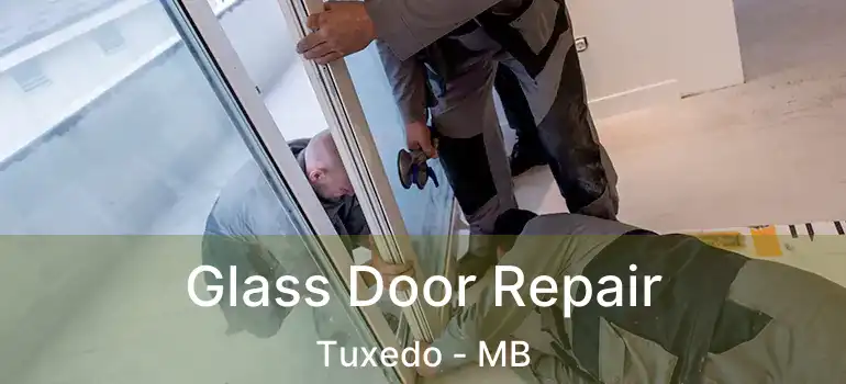  Glass Door Repair Tuxedo - MB