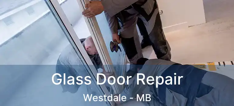  Glass Door Repair Westdale - MB