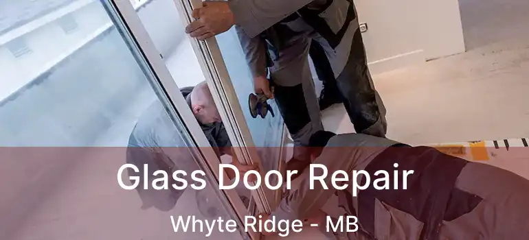  Glass Door Repair Whyte Ridge - MB