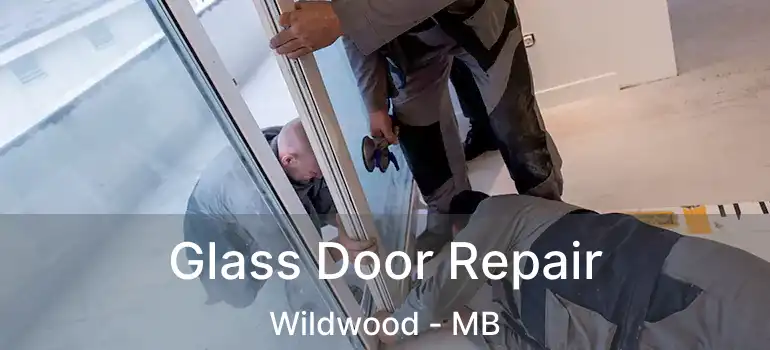  Glass Door Repair Wildwood - MB