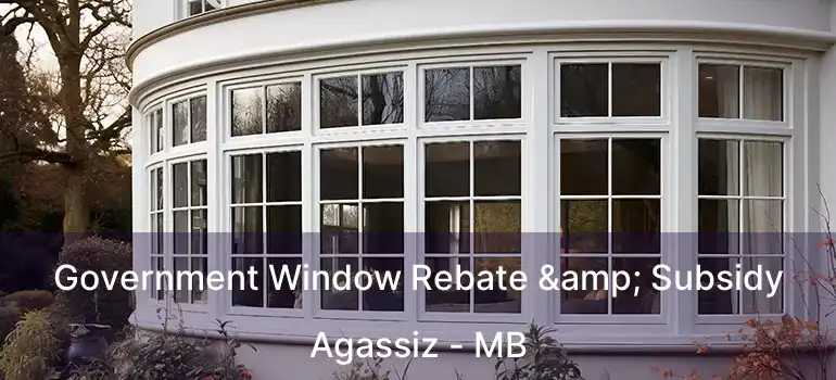  Government Window Rebate & Subsidy Agassiz - MB