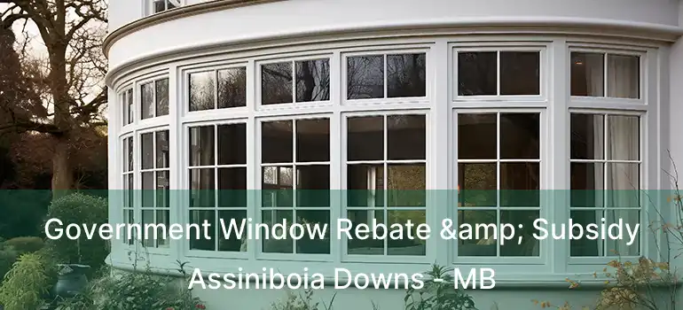  Government Window Rebate & Subsidy Assiniboia Downs - MB