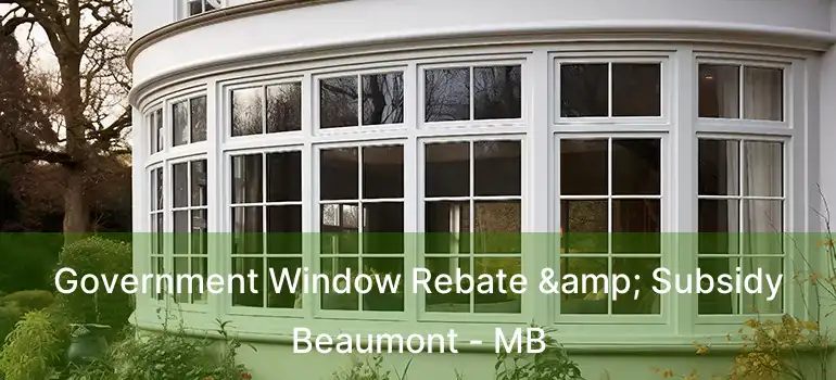  Government Window Rebate & Subsidy Beaumont - MB