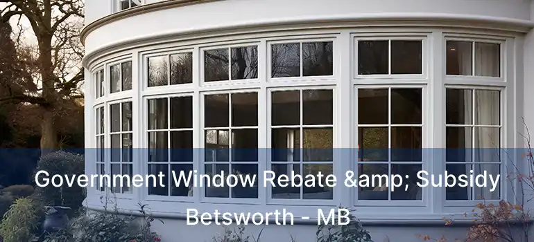  Government Window Rebate & Subsidy Betsworth - MB