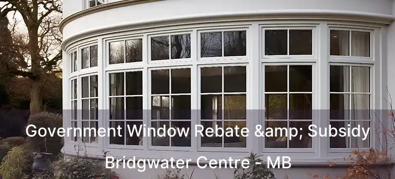  Government Window Rebate & Subsidy Bridgwater Centre - MB