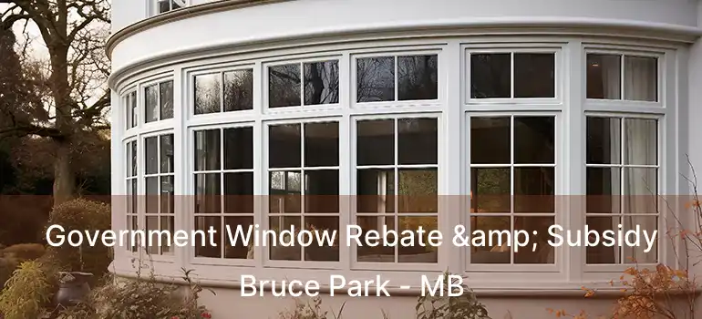Government Window Rebate & Subsidy Bruce Park - MB