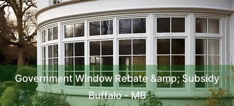  Government Window Rebate & Subsidy Buffalo - MB