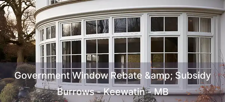  Government Window Rebate & Subsidy Burrows - Keewatin - MB