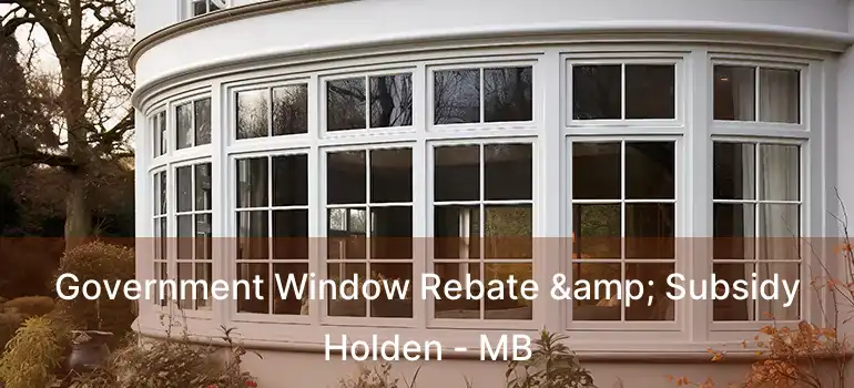  Government Window Rebate & Subsidy Holden - MB