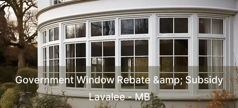 Government Window Rebate & Subsidy Lavalee - MB