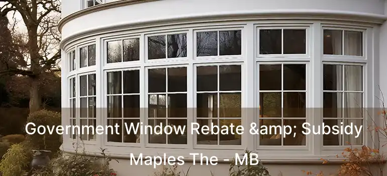  Government Window Rebate & Subsidy Maples The - MB