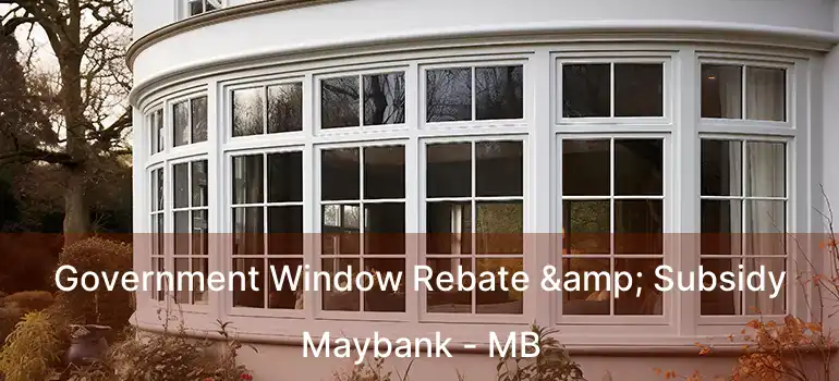  Government Window Rebate & Subsidy Maybank - MB