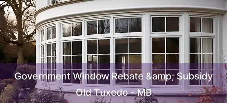  Government Window Rebate & Subsidy Old Tuxedo - MB