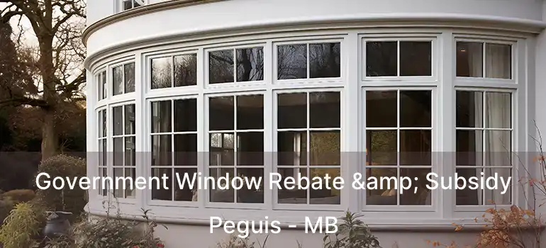  Government Window Rebate & Subsidy Peguis - MB