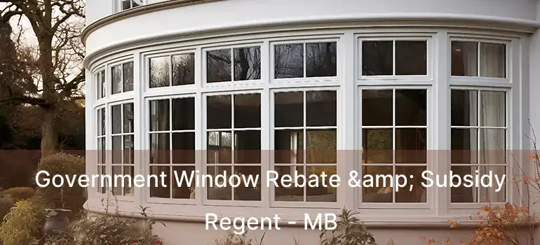  Government Window Rebate & Subsidy Regent - MB