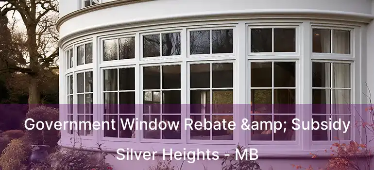  Government Window Rebate & Subsidy Silver Heights - MB