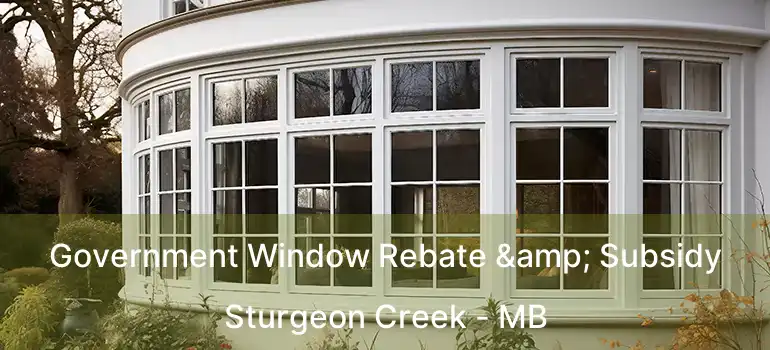Government Window Rebate & Subsidy Sturgeon Creek - MB