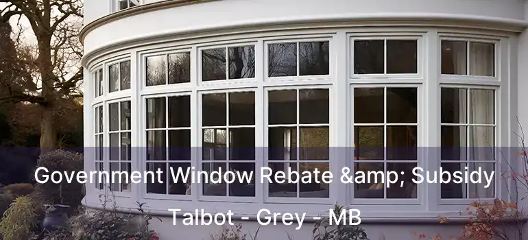  Government Window Rebate & Subsidy Talbot - Grey - MB