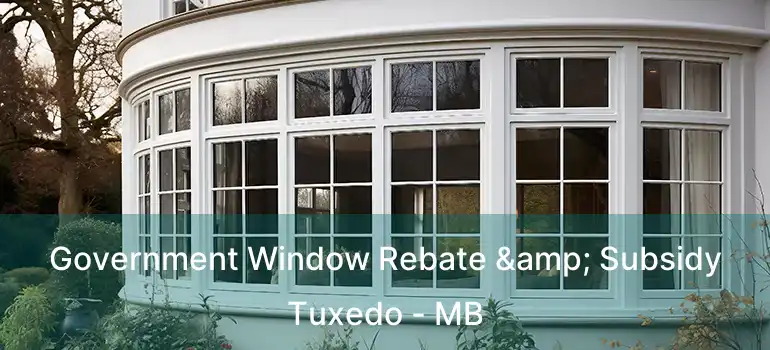  Government Window Rebate & Subsidy Tuxedo - MB