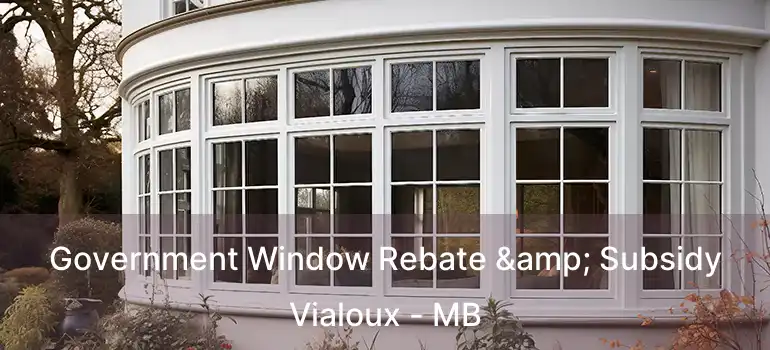  Government Window Rebate & Subsidy Vialoux - MB