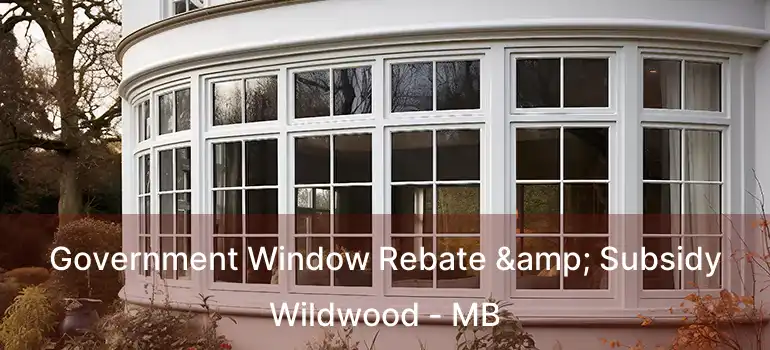  Government Window Rebate & Subsidy Wildwood - MB
