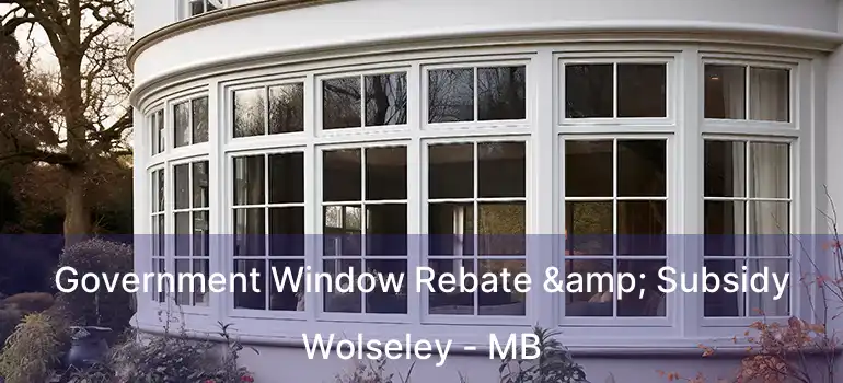  Government Window Rebate & Subsidy Wolseley - MB