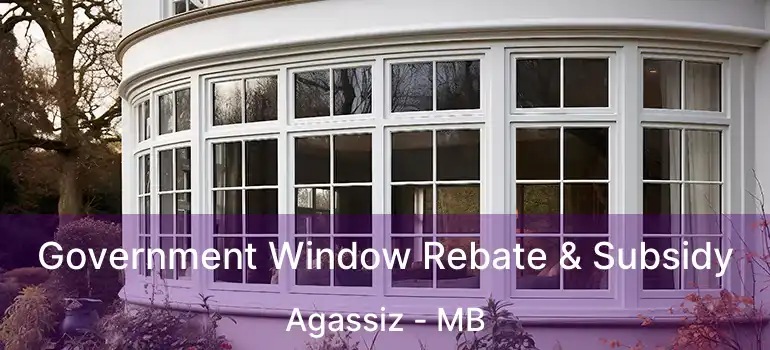  Government Window Rebate & Subsidy Agassiz - MB