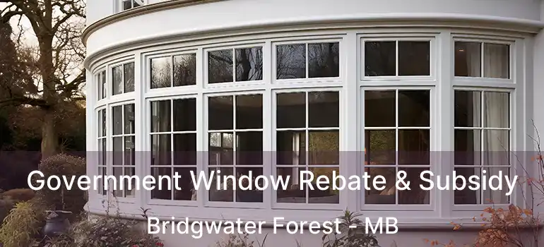  Government Window Rebate & Subsidy Bridgwater Forest - MB