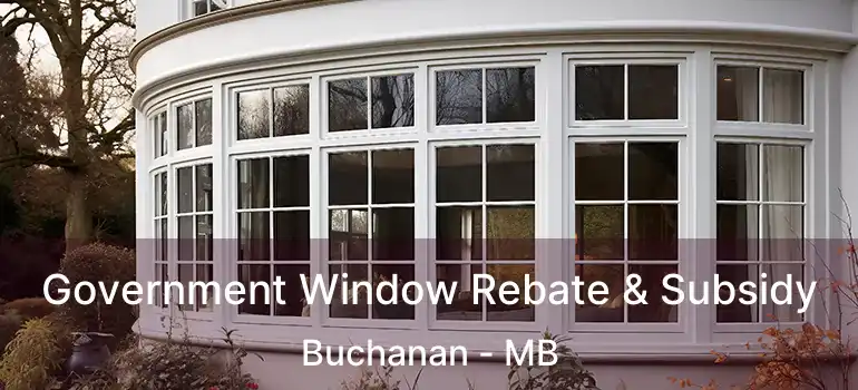  Government Window Rebate & Subsidy Buchanan - MB