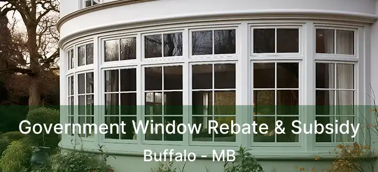  Government Window Rebate & Subsidy Buffalo - MB