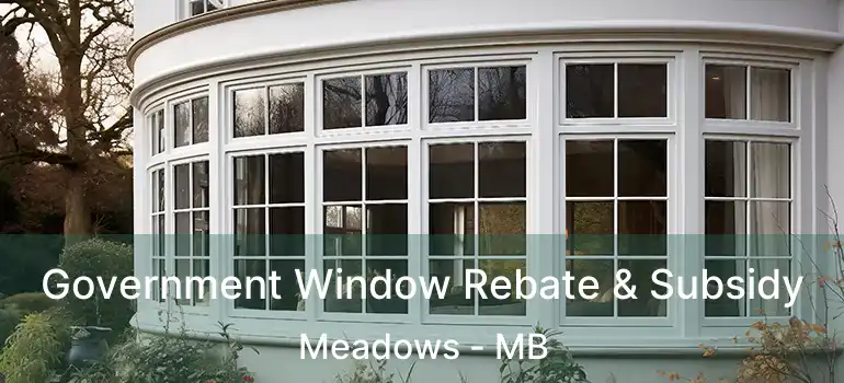  Government Window Rebate & Subsidy Meadows - MB