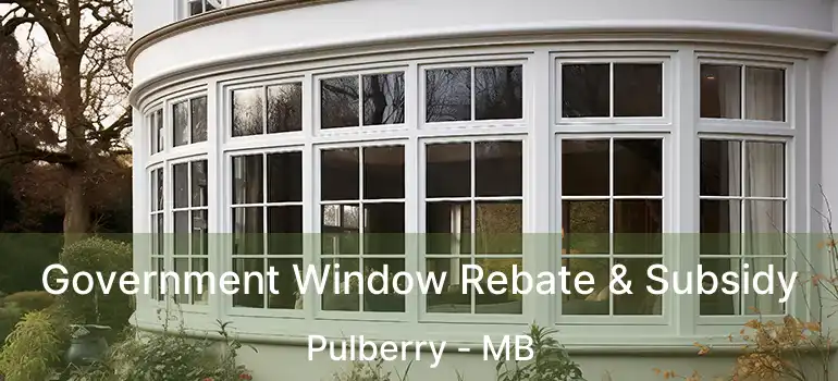  Government Window Rebate & Subsidy Pulberry - MB