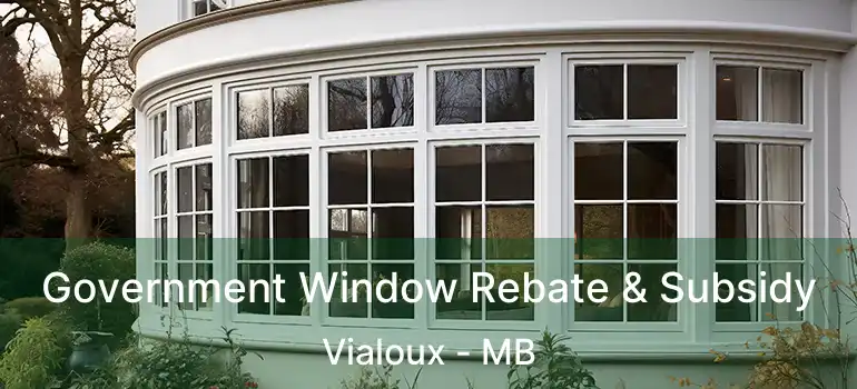  Government Window Rebate & Subsidy Vialoux - MB
