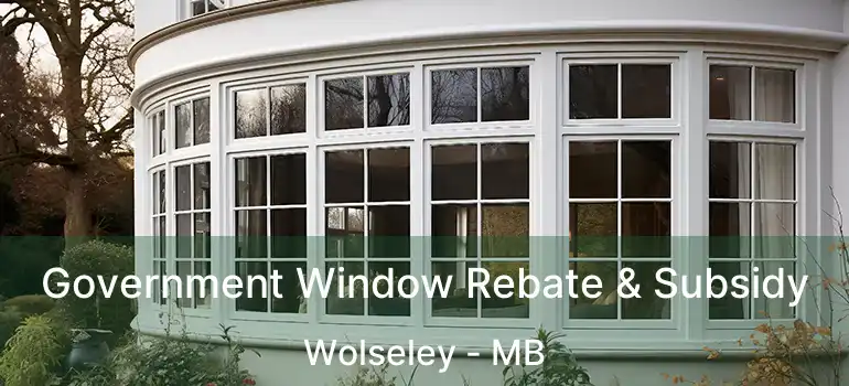  Government Window Rebate & Subsidy Wolseley - MB