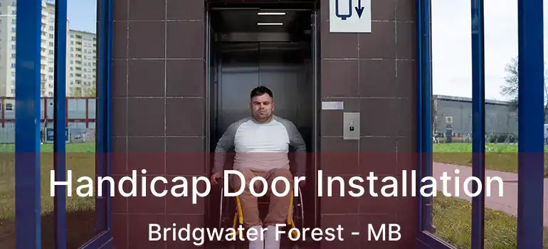  Handicap Door Installation Bridgwater Forest - MB