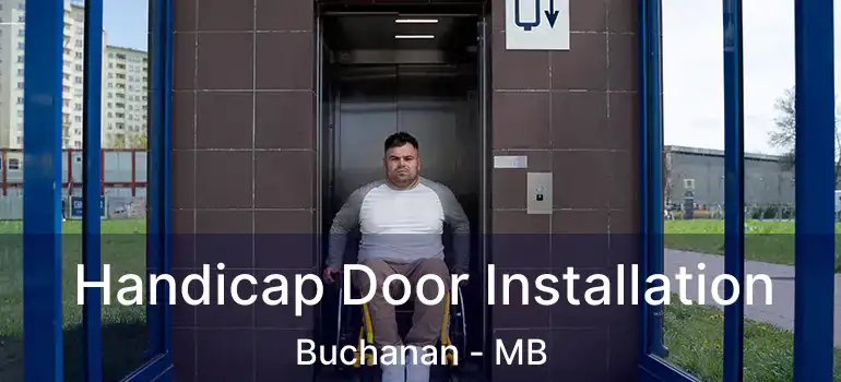  Handicap Door Installation Buchanan - MB