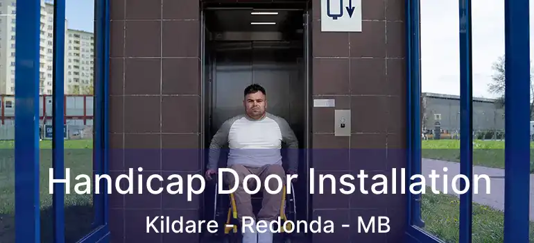  Handicap Door Installation Kildare - Redonda - MB