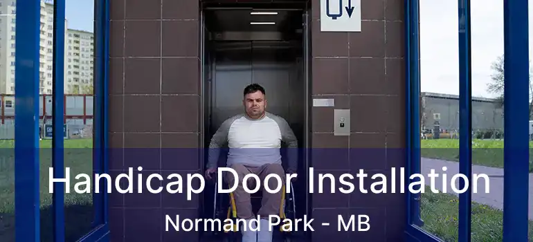  Handicap Door Installation Normand Park - MB