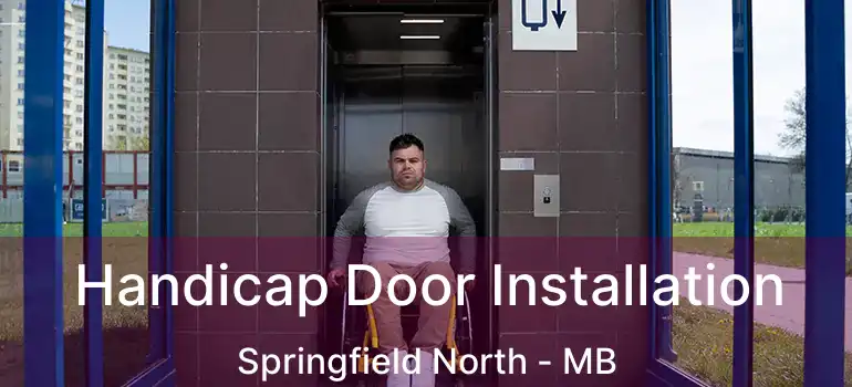  Handicap Door Installation Springfield North - MB