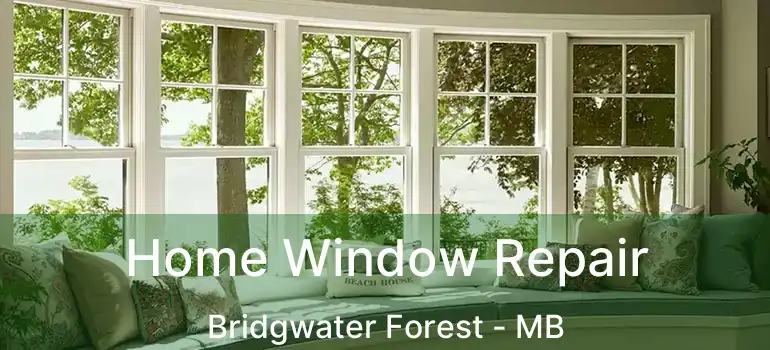  Home Window Repair Bridgwater Forest - MB