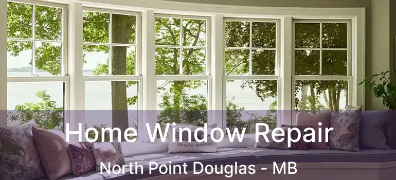  Home Window Repair North Point Douglas - MB
