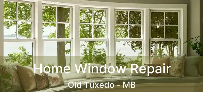  Home Window Repair Old Tuxedo - MB