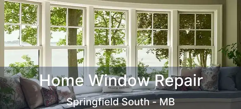  Home Window Repair Springfield South - MB