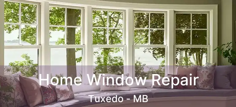  Home Window Repair Tuxedo - MB