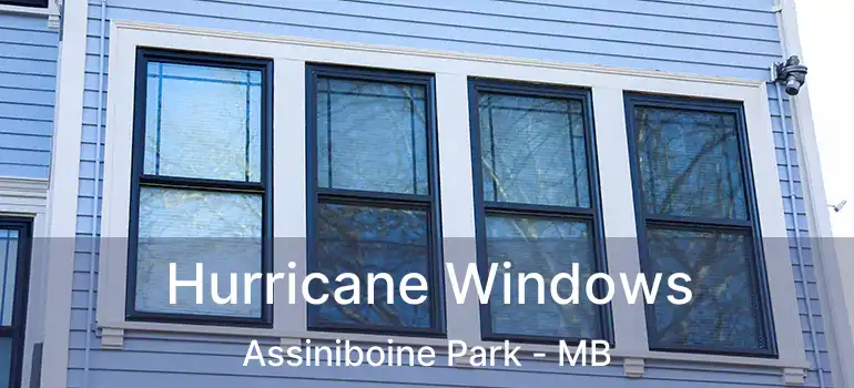  Hurricane Windows Assiniboine Park - MB