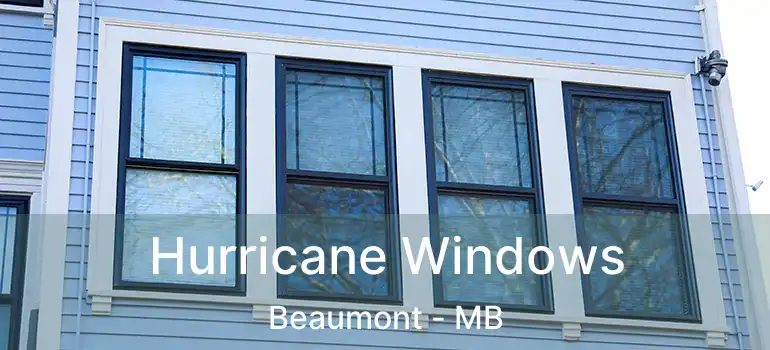  Hurricane Windows Beaumont - MB