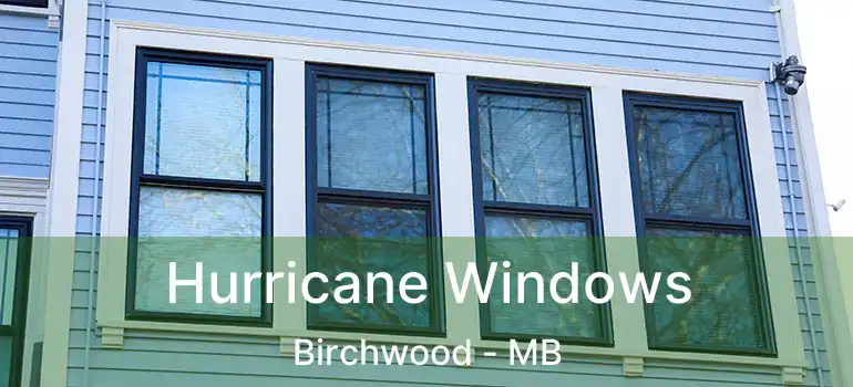  Hurricane Windows Birchwood - MB