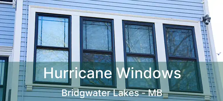  Hurricane Windows Bridgwater Lakes - MB