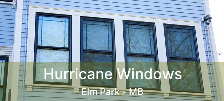  Hurricane Windows Elm Park - MB