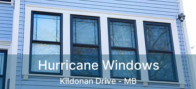  Hurricane Windows Kildonan Drive - MB